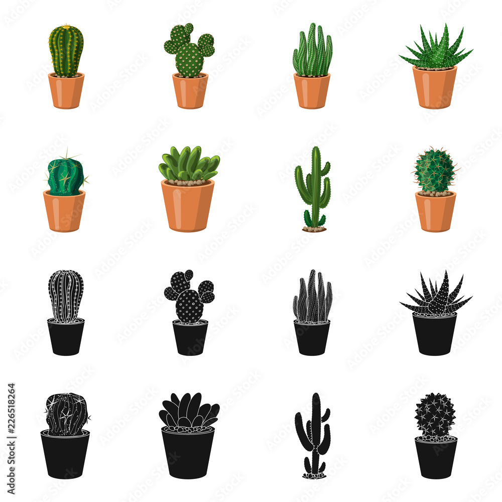 Isolated object of cactus and pot icon. Collection of cactus and cacti vector icon for stock. Isolated object of cactus and pot icon. Collection of cactus and cacti vector icon for stock.