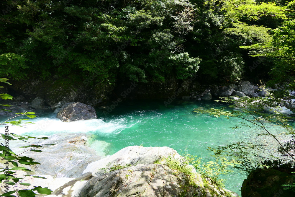 Naklejka premium Jasny strumień szmaragdu. Z basenu, Yasui dolina Niyodogawa. Japonia Kochi. W połowie września.