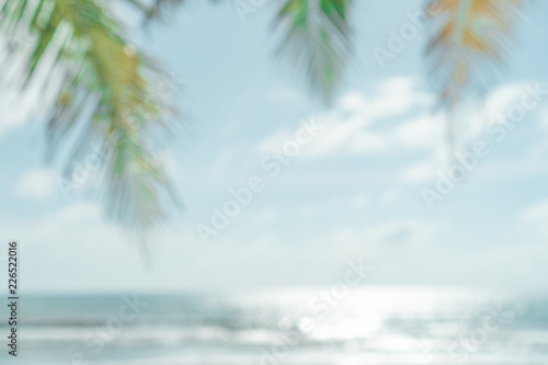 Tropical palm leaf at summer beach with bokeh blue sky and sun light background.