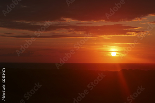 Rural floral field on sunset. natural summer background