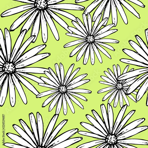 Pattern of daisies manually drawn ink. White and black illustration. Floral surface design.