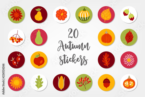 Fototapeta Naklejka Na Ścianę i Meble -  Autumn circle stickers with flower, apple, pear, pumpkin, leaves, hazelnut