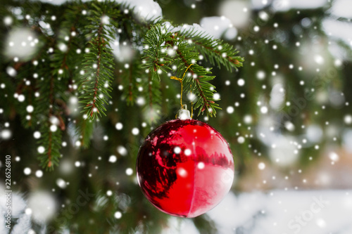 winter holidays and decoration concept - red christmas ball on fir tree branch covered with snow