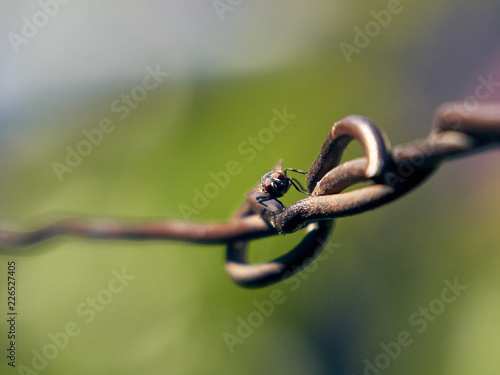 Fly one wire