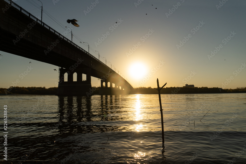 The bridge at sunset in the summer, birds fly from above. The bridge at sunset in the summer, birds fly from above.
