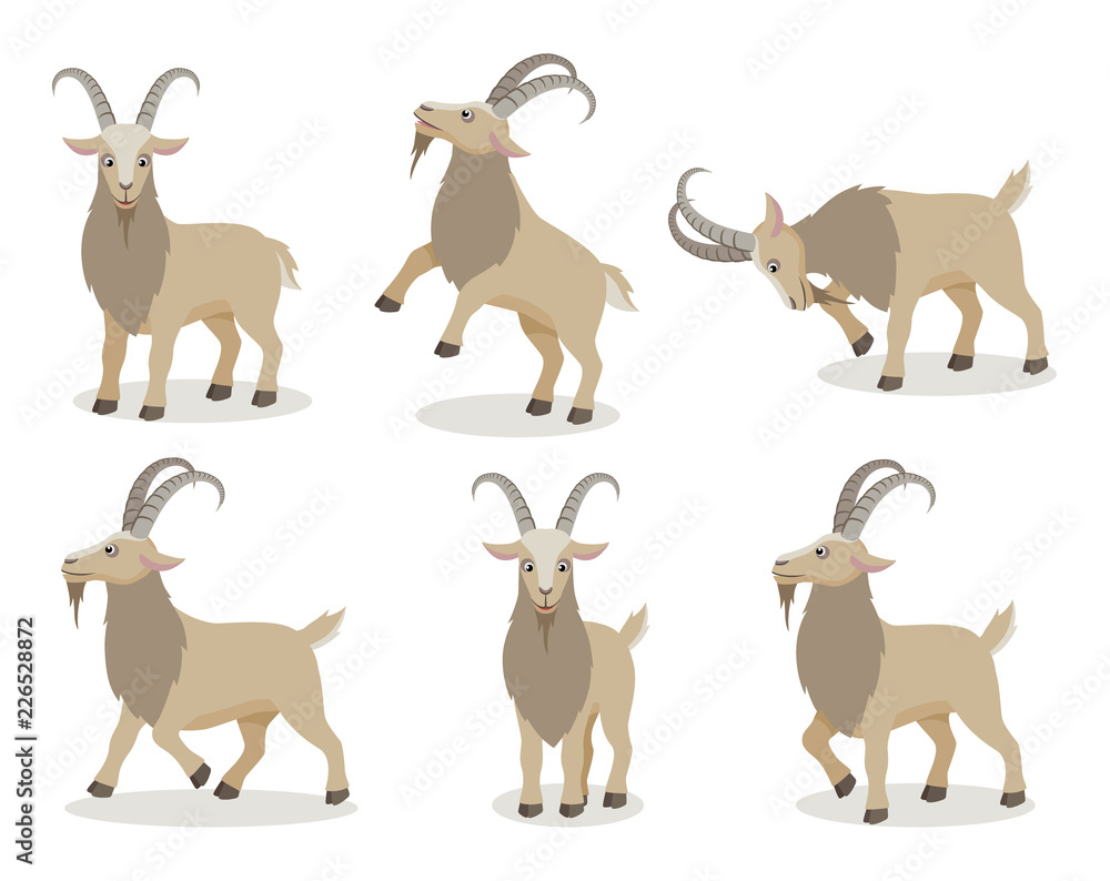 Set of goat in different poses in flat style. Cute realistic goat with long horns for decor, learning children. Vector illustration. Set of goat in different poses in flat style. Cute realistic goat with long horns for decor, learning children. Vector illustration.