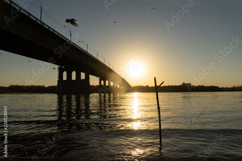The bridge at sunset in the summer, birds fly from above. © Ирина Швейн