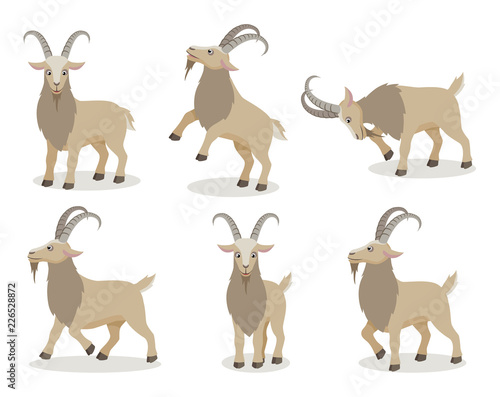 Set of goat in different poses in flat style. Cute realistic goat with long horns for decor, learning children. Vector illustration.