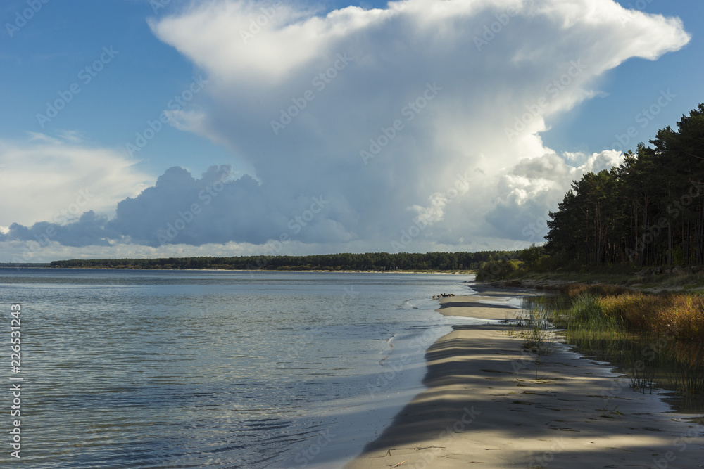 Baltic sea shore in Latvia. Sand dunes with pine trees and clouds.