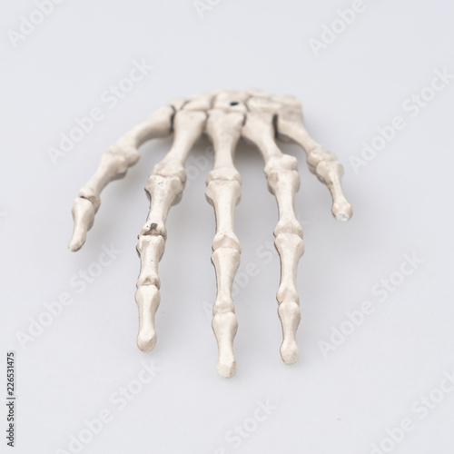 Human finger bone, Hallowee...