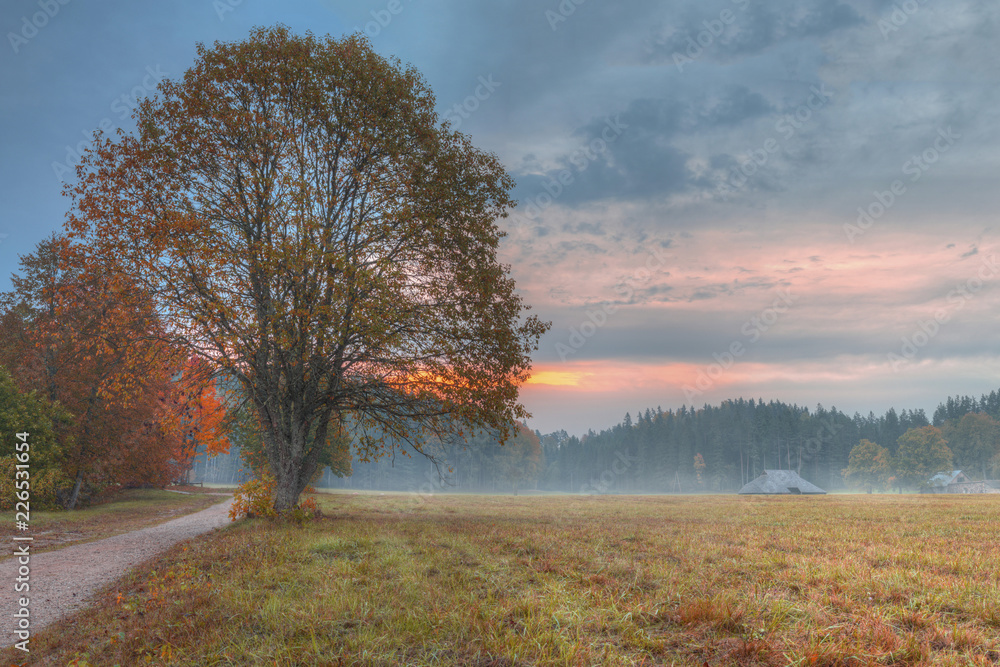 Latvia country side landscape with fog and mist after sunset Latvia country side landscape with fog and mist after sunset