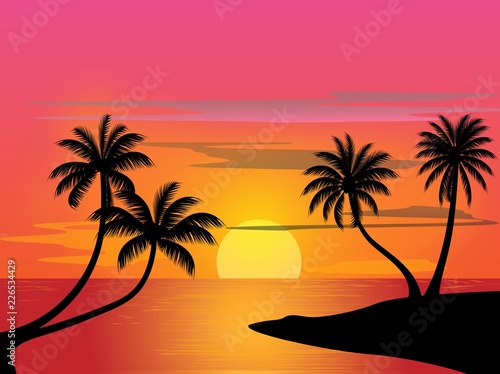 landscape  beach sunset coast nature sea summer palm tropocal