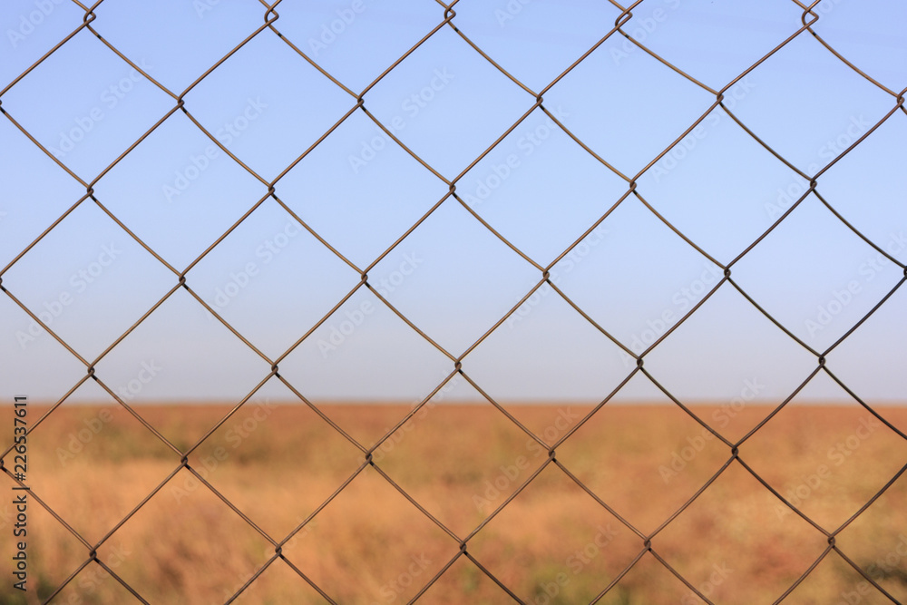 Fototapeta premium Steel mesh wire fence with green grass and blue sky background