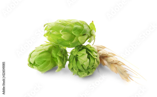 Fresh green hops and wheat spike on white background. Beer production