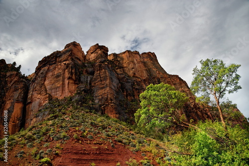 Bridge Mountain im Zion Valley