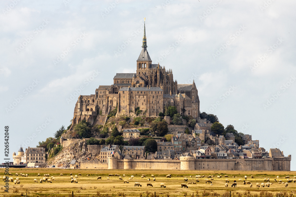 The Mont Saint Michel and sheeps
