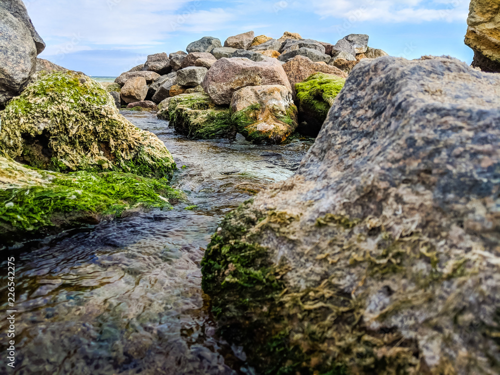 Small creek in the sea during the autumn season
