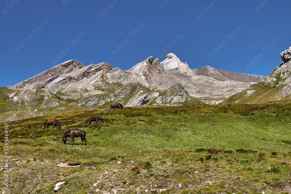 Col Agnel- mountain pass in the Cottian Alps, between France and Italy