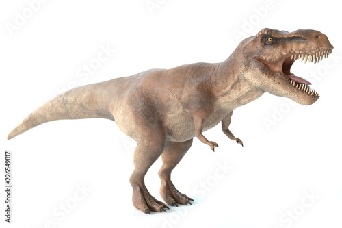 3d illustration of a tyrannosaurus rex dinosaur photo