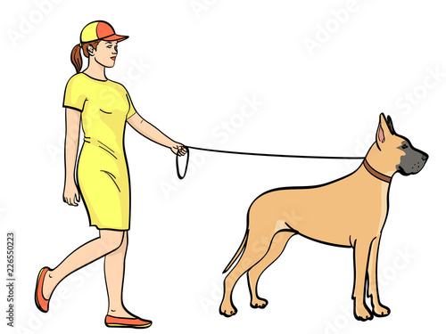 isolated object on white background, summer color. A woman with a sports dress, walks a pet on a leash. Great Dane breed of domestic dog.