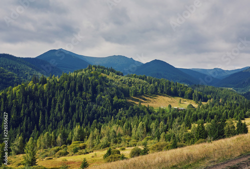 mountainous landscape with forested hills. beautiful summer © Ryzhkov Oleksandr