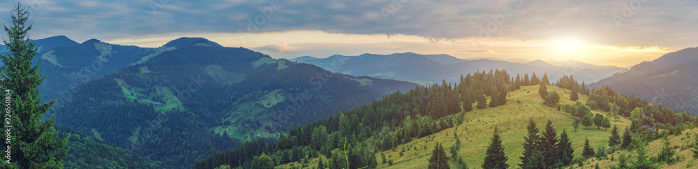 Landscape with fog in mountains and rows of trees Landscape with fog in mountains and rows of trees