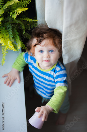 Little boy discover a work. Stay near window sill and plant at home