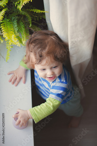 Little boy discover a work. Stay near window sill and plant at home