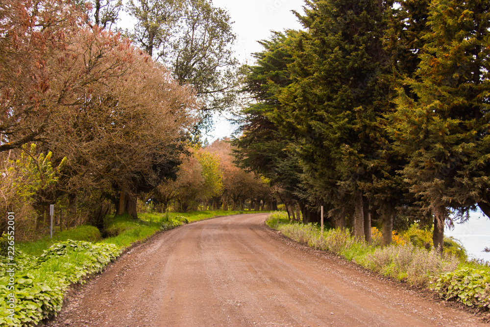 Hermoso paisaje campestre