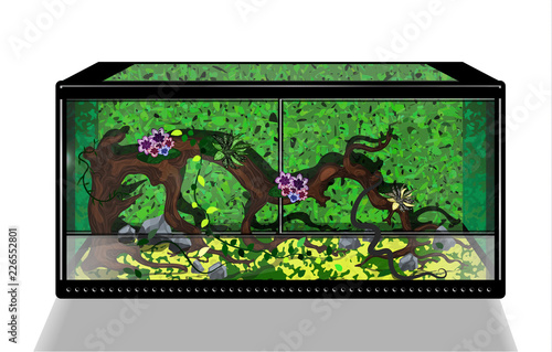 Florarium, serpentarium realistic illustration. Home for exotic pets, paludarium for frogs, reptiles. Vector illustration of amphibian tanks for pet shop. Rainy forest animals home. snag in glass box.