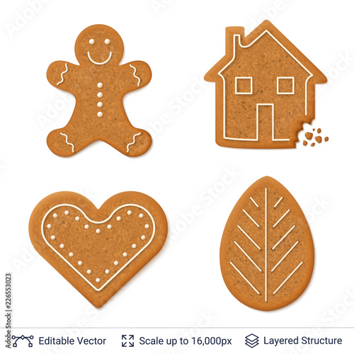 Gingerbread cookies isolated on white.