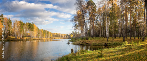 панорама осеннего пейзажа на озере с березовым лесом на берегу, Россия, Урал, сентябрь