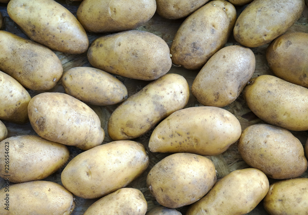The new harvest potatoes at local farm market The new harvest potatoes at local farm market