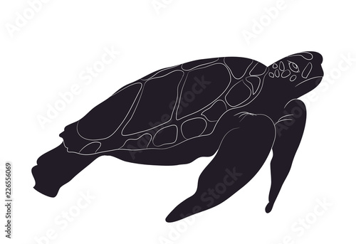 turtle swim figure silhouette, vector