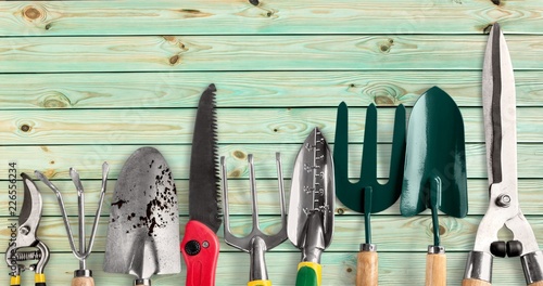 Row of gardening tools on wooden background