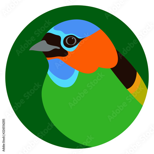 red - necked tanager bird vector illustration flat