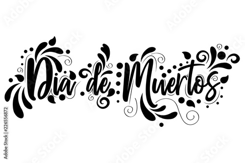 Dia De Muertos. day of the Dead spanish text  Lettering isolated illustration on white background, holiday poster