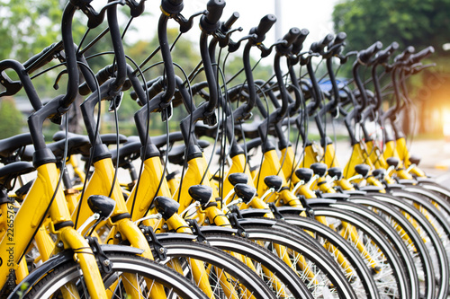 Row of bicycles parked. Yellow bicycles stand on a parking for rent. Pattern vintage bicycles bikes for rent on sidewalk in university. University students campaign to use bicycles instead of driving.