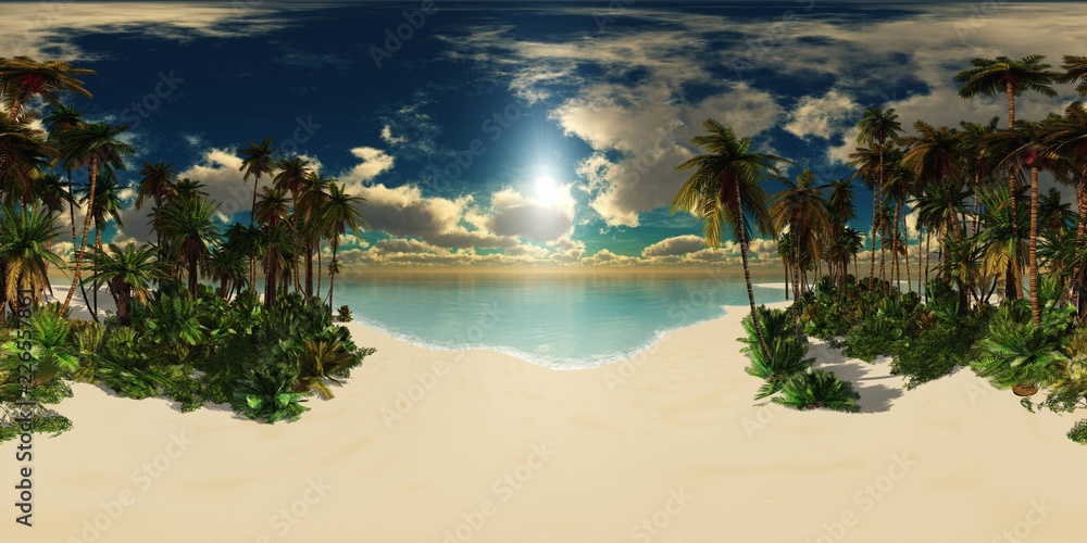 Tropical beach with palm trees at sunset. HDRI . equidistant projection ...