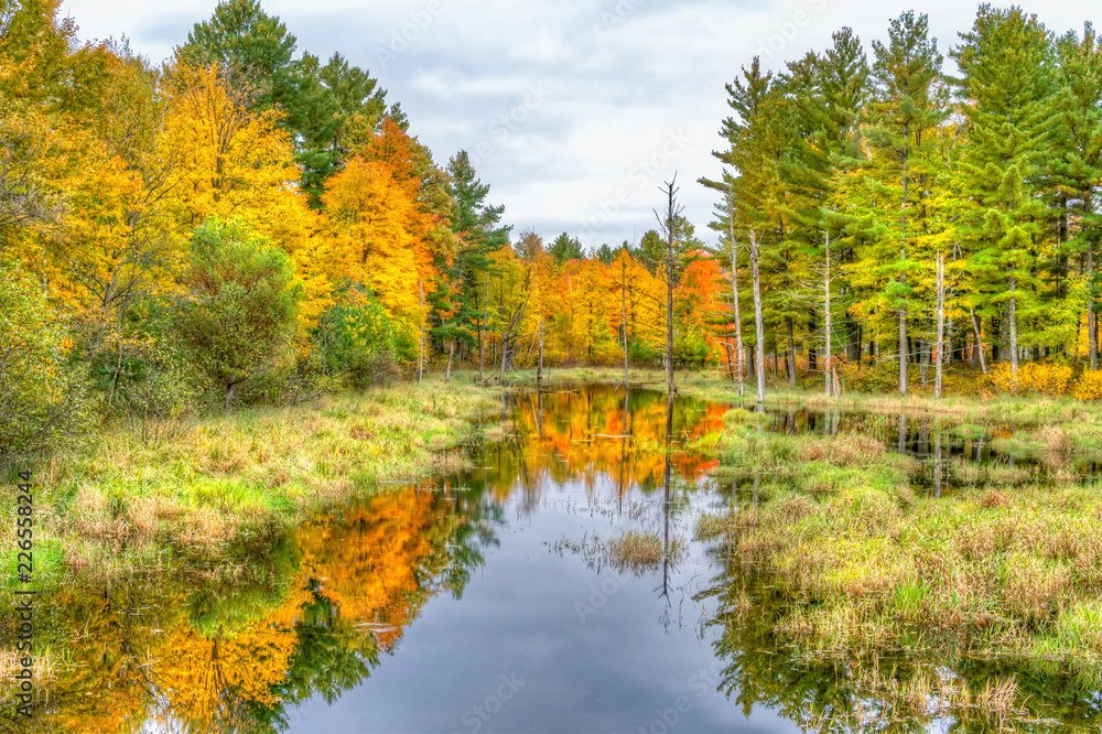 Autumn Foliage and Marsh in Northwestern Wisconsin