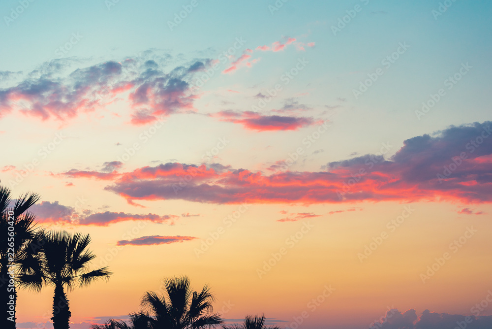 Tropical palm trees sun light at sunset sky cloud abstract background