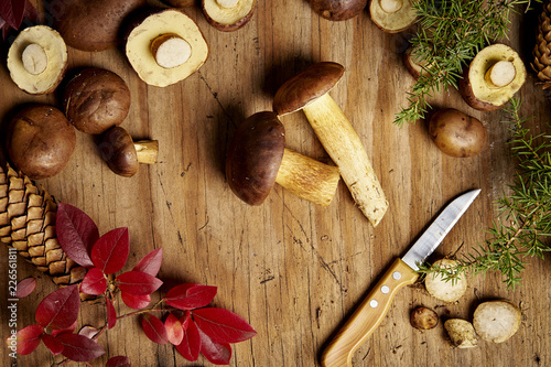 beautiful brown and fresh boletus mushroom and a knife on an old wooden board in an autumn forest