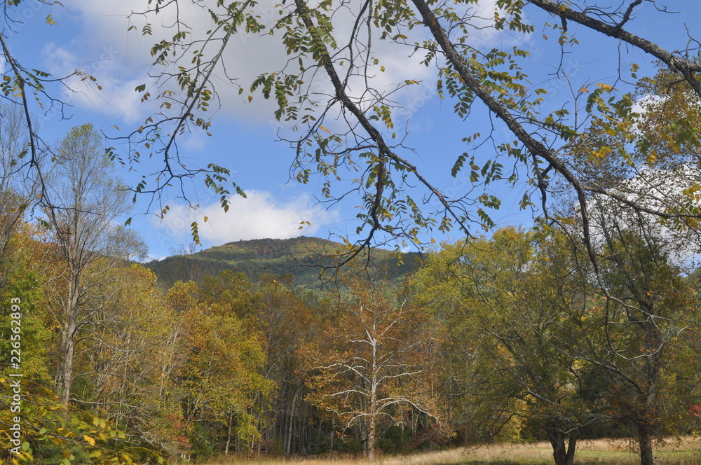 Fototapeta premium October in the Mountains Winter's coming