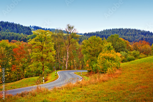 Winding Road in the autumnal forest . Nature background.