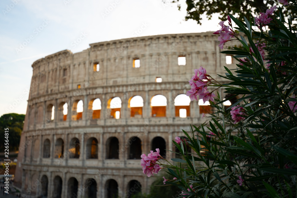 Obraz premium Colosseo