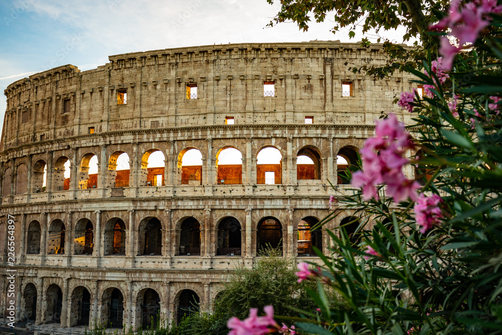 Obraz premium Colosseum, Rome