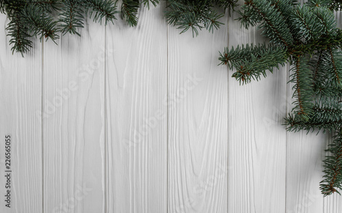 Pine tree branches on wooden background
