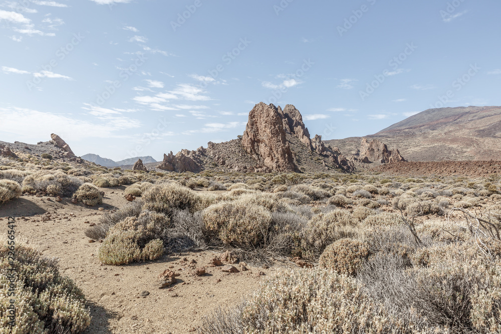 Particular desert landscape with some vegetation, on a beautiful sunny day