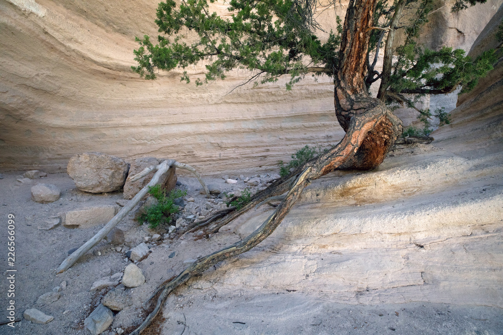 Kasha-Katuwe Tent Rocks National Monument, NM, USA. Kasha-Katuwe Tent Rocks National Monument, NM, USA.
