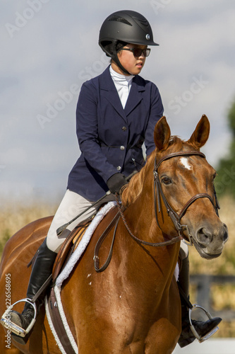 Portrait of a girl and warmblood mare